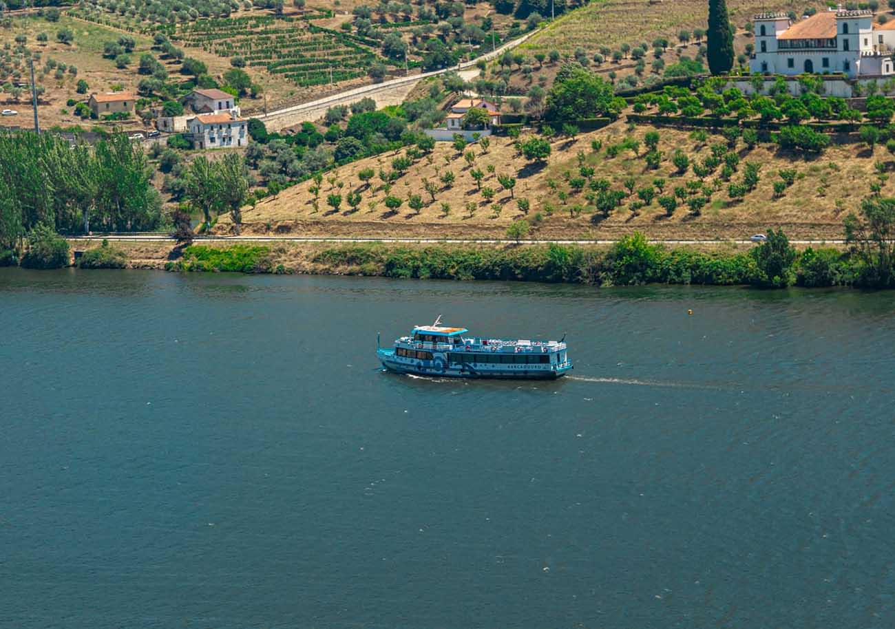 Experiencia de Crucero por el Río Duero en Oporto: Exploración Visual e Histórica